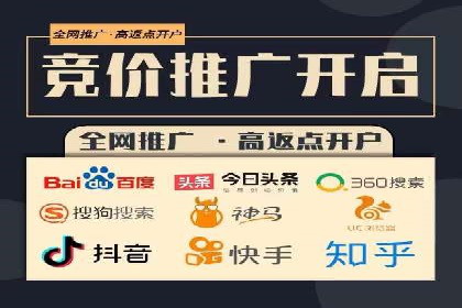 专业竞价SEM托管成功案例解析