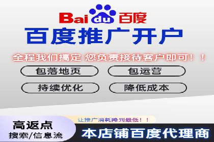 专业SEM服务公司案例分析报告